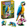 LEGO Creator 3 v 1 31136 Exotický papagáj 3 v 1 (LEGO Creator 3 v 1 31136 Exotický papagáj 3 v 1)