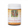 199 TCM - Královská houba Yunzhi 30g