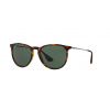 Ray-Ban RB4171 ERIKA 710/71