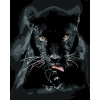 ZUTY Maľovanie podľa čísel - ČIERNA PUMA Rámovanie: vypnuté plátno na rám, Rozmer: 40x50 cm