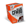 Extrifit CFM Instant Whey 80 20 x 30 g ice coffee