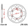 JT Reťazová rozeta JT JTR 1076-52 52T, 420