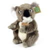 RAPPA Plyšový medvedik koala 22 cm ECO-FRIENDLY