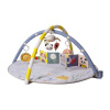 TAF TOYS TAF TOYS Hracia deka s hrazdou Bloom