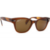 Ray-Ban RB0880S 664057 52