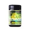 PRIMAL ALCHEMY Panacean Colostrum (RAW BIO demeter kolostrum) -50g (Primal Alchemy)