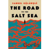 The Road to the Salt Sea - Kolawole Samuel