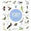 Vtáky SK SVOJTKA - Natalie Todrjman; Judith Gueyfier; Julien Norwood
