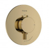 Hansgrohe Ecostat Comfort S - Sprchová batéria pod omietku, s termostatom, leštený vzhľad zlata 33714990