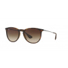 Ray-Ban RB4171 ERIKA 865/13