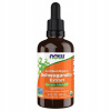 Now Foods, certifikované organické, extrakt z ašvagandy,