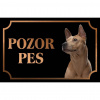 Thajský ridgeback - Kovová tabuľka POZOR PES