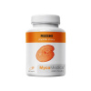 MycoMedica Reishi 500 mg 90 kapslí