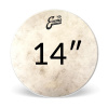 Evans Calftone Priemer blany: 14