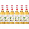 6x Barmanský sirup MONIN French Vanilla FRANCÚZSKA VANILKA 700 ml