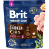 Brit Premium Dog by Nature Adult S 1 kg