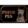 Thajský ridgeback - Kovová tabuľka POZOR PES