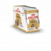Royal Canin Adult Shih Tzu 12 x 85 g