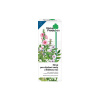 NaturProdukt Sirup pre dýchacie cesty a pokojnú noc 200 ml