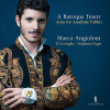 A Baroque Tenor, Arias For Annibale Fabbri - Marco Angioloni (CD) (Marco Angioloni, Ensemble Il Groviglio, Stephane Fuget)