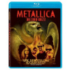 METALLICA - SOME KIND OF MONSTER (1Blu-ray)