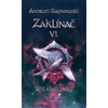 Zaklínač VI. - Věž vlaštovky Andrzej Sapkowski