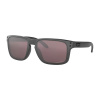 OAKLEY Holbrook Steel/Prizm Daily Polarized