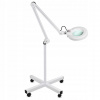 Kozmetická lampa na kolieskach s lupou 5 chrípka (Kozmetická lampa na kolieskach s lupou 5 chrípka)