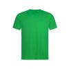 Luxusné tričko STEDMAN Crew neck, Kelly Green zelená, XS