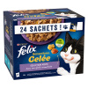 Felix 