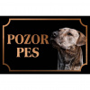 Uruquajský cimarron - Kovová tabuľka POZOR PES