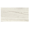 ANTIQUE MARBLE of CERIM Royal Marble_05 30x60cm Lucido Rett.