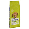 Purina Dog Chow Adult jahňacie 2×14 kg krmivo pre psov