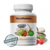 Mycomedica MycoBalance Vegan 90x 500 mg