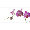 Obklad do kúpeľne mySPOTTI aqua Orchidee pink 90x45 cm