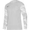 Goalkeeper jersey Nike Dry Park IV JSY LS GK JR CJ6072-052 (57209) White/Silver 122 cm