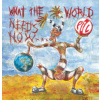 Public Image Limited - What The World Needs Now / Vinyl / 2LP [2 LP]