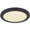 Globo Lighting Lasse stropné svietidlo 1x24 W biela-čierna 12379-24B