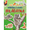 Zvířátka a jejich mláďátka - Objevuj a nalep