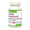 Nutristar Pantothenová kyselina (vit. B5) 100 tbl.