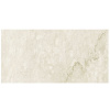 ANTIQUE MARBLE of CERIM Imperial Marble_04 30x60cm Lucido Rett.