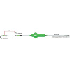 MADCAT Screaming Profi River Rig „Worm & Squid
