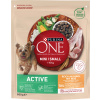 Purina one Mini Active Chicken & Rice 0,8 kg