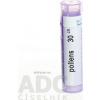 Pollens gra.1 x 4 g 30CH