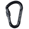 karabína BEAL BE LOCK Screw Black