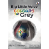 Big Little Voice Colours the Grey (Vaciago M. G.)