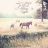 Callahan Bill - Sometimes I Wish We Were [CD]