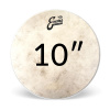 Evans Calftone Priemer blany: 10