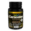 Carnosine komplex 900 mg SALUTEM tbl 1x60 ks