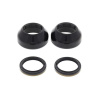 ALLBA FORK SEAL KIT SPY & DUST